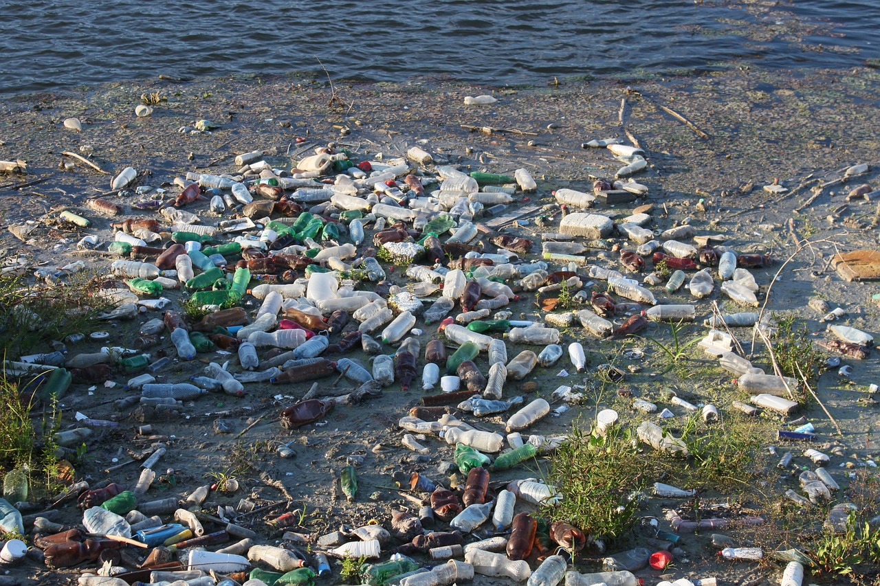 «Sin contaminación por plásticos»